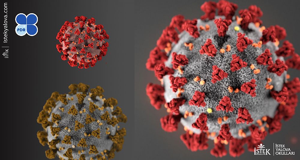 Corona Virus Covid-19 Bilgilendirme