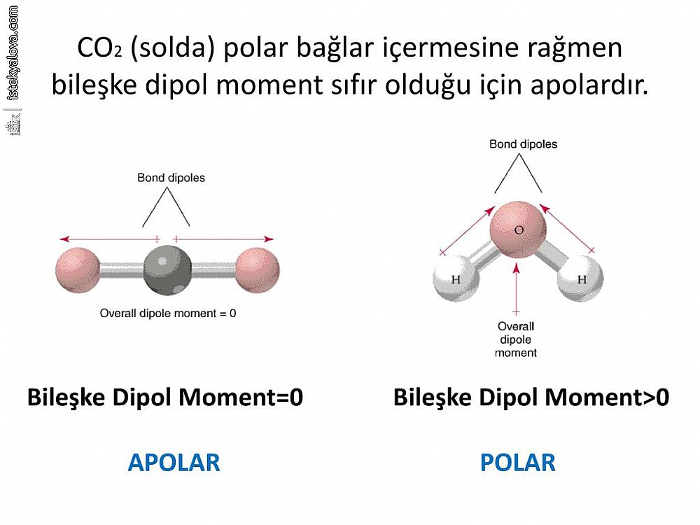 polar apolar